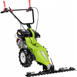 grillo-gf-1